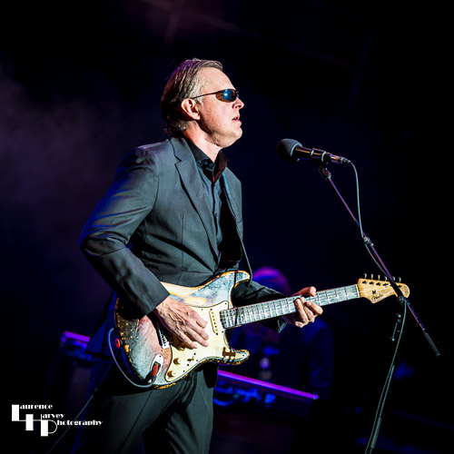 Joe Bonamassa on vocals & guitar