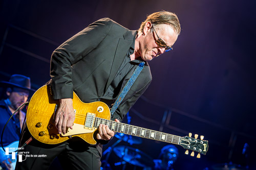 Joe Bonamassa on vocals & guitar