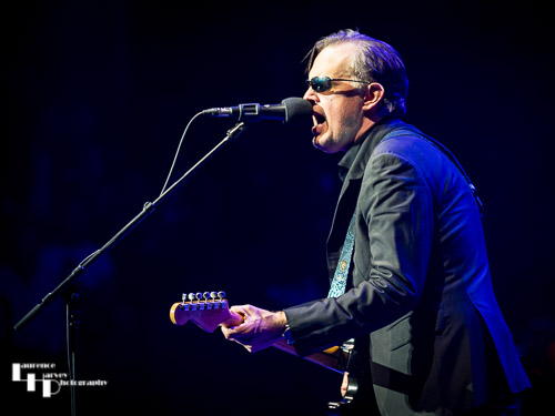 Joe Bonamassa on vocals & guitar
