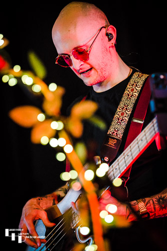 Stephen Mildwater on bass