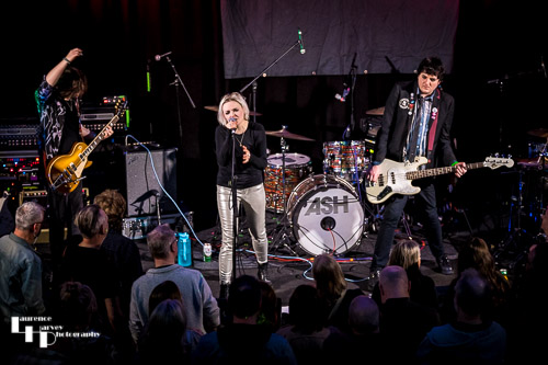 Desperate Journalist on stage at The John Peel Centre