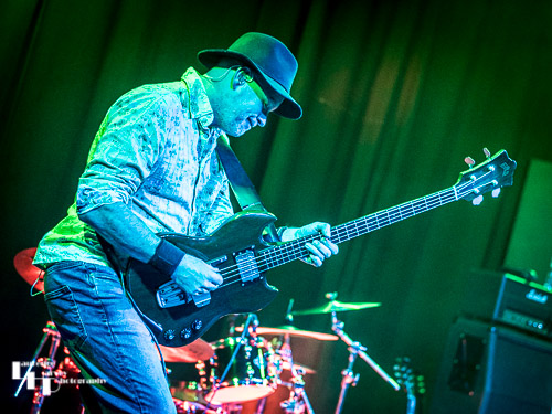 Rob Scholes on bass