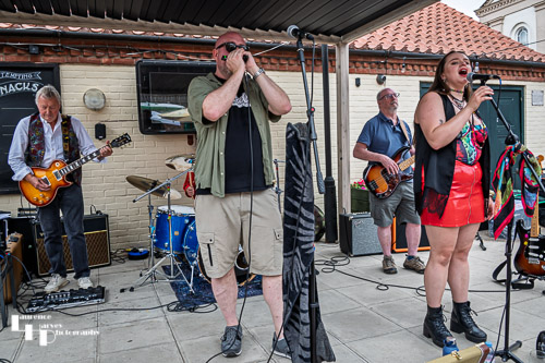 Snake Oil Band on stage at Dereham Blues Festival