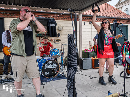 Snake Oil Band on stage at Dereham Blues Festival