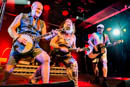 Hayseed Dixie