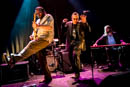Rick Estrin And The Nightcats