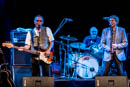 The Blues Band