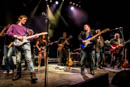 Walter Trout Benefit COncert