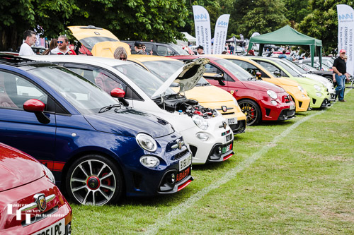 Line of Fiat 500's