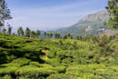 Kerala
